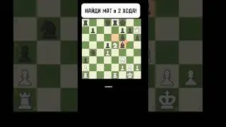 НАЙДИ МАТ в 2 ХОДА! #шахматы