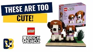 LEGO BrickHeadz Pets St Bernard 40543 Speed Build Review