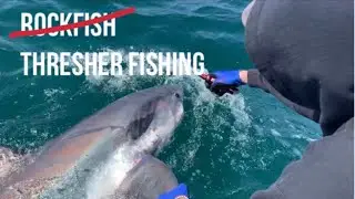 Thresher Fishing Southern California