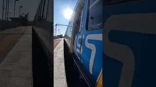 My Favourite Melbourne Platform Gap