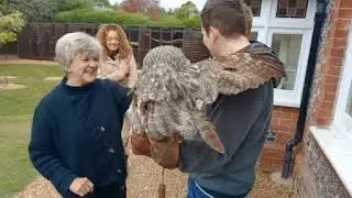 A trip to the Falconry at Compton, West Sussex.