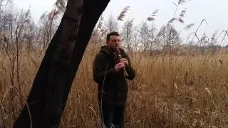 Native American flute in B 432 Hz
