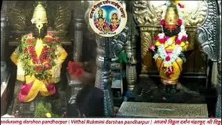 panduramg darshan pandharpur | Vitthal Rukmini darshan pandharpur | आजचे विठ्ठल दर्शन पंढरपूर |
