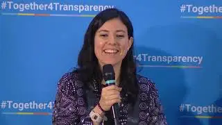 Understanding the UNFCCC Transparency Framework and the BTR Synthesis Report