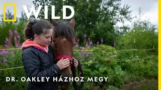 Dr. Oakley h&aacute;zhoz megy &uacute;j &eacute;vad november 6-&aacute;n h&eacute;tfőnk&eacute;nt 18:00-kor I National Geographic WILD
