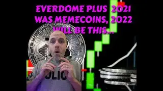 EVERDOME Plus 2021 was Memecoins, 2022 will be THIS...