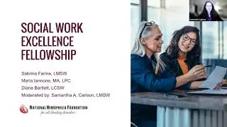Social Work Excellence Fellowship Webinar 2021