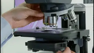 How-to: Transmitted Light Imaging - ZEISS Axioscope 5