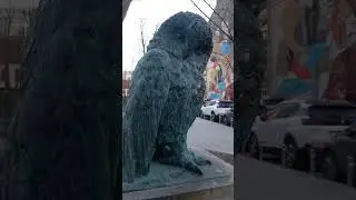 Magical Bird Wise Owl at Street, Kyiv, Ukraine. 19.march.2023.