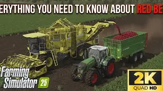 How Much Profit Per Minute Does Red Beet REALLY Make? | FS25