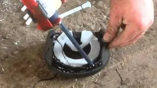 Connemara with hoof wall separation - applying glue on shoes