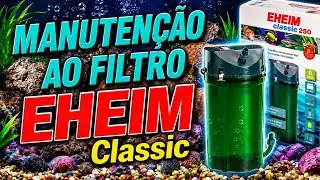 EHEIM CLASSIC 250 ( 2213 ) MANUTENÇÃO E UMA BOA OPÇÃO DE COMPRA...