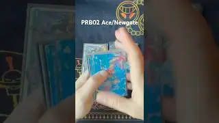Updated PRB02 Ace/Newgate#onepiece #bandai #deckprofile #decklist #ace #whitebeard #tcg #onepiecetcg