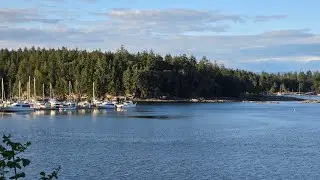 Nanaimo | Downtown & Maffeo Sutton Park walking tour | #britishcolumbia #nanaimo