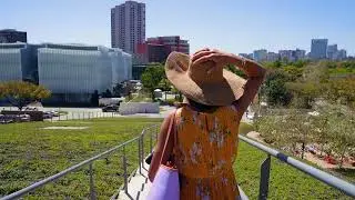 Bring Your Senses to the MFAH