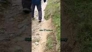 Стоит ли посещать этот валлийский пляж?