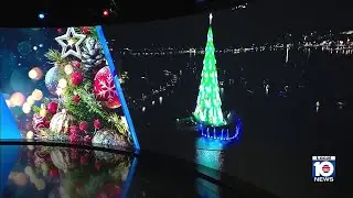 262 ft. Christmas tree unveiled in Rio de Janiero