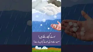 Heaviest Hailstones in the World | How Are They Formed?? | Geo Digital