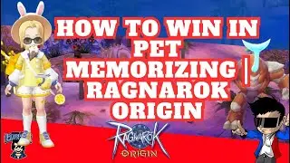 How to win in Pet Memorizing | Ragnarok Origin