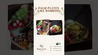 Sustainable Dining: Palm Leaf Plates Like Bamboo - Delivered directly from CA & NJ!