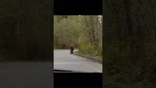 #short