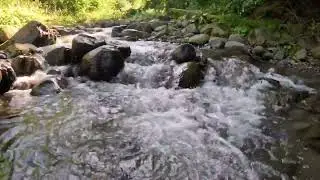Muzica relaxanta cu ciripit de pasarele si sunetul paraului.