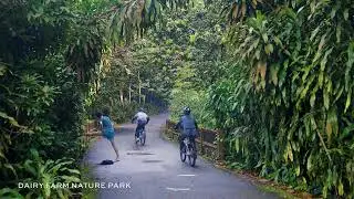 The Botany at Dairy Farm: Amenities Video