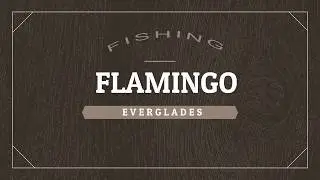 FLAMINGO FISHING 4/2/2018