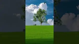 Serene Escape Under the Open Sky #NatureLover #PeacefulVibes #Tranquility #Greenery #Cloudscape