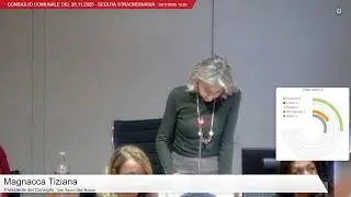 Consiglio Comunale del 28/11/2025