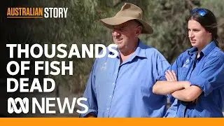 Mass fish kill: What next for the Darling River community | Australian Story