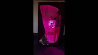 4x4 Grow Tent Time Lapse