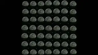 The Outer Limits 49 At The Same Time