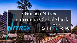 Nitrex.  Отзыв о роботе Nitrex  от партнера команды GlobalShark