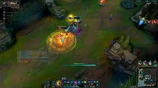 beezaHAR