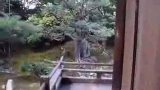 shokoku-ji
