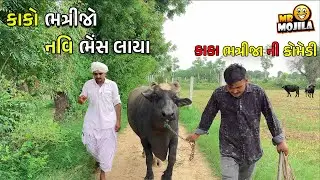 હળદર નાખતો ભમેડો અને કાકાની 32000 હજારની ભેંસ 😂 | New Gujarati Comedy Video