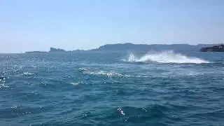 Flyboard @saint-cyr jet ski