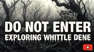 Exploring Whittle Dene