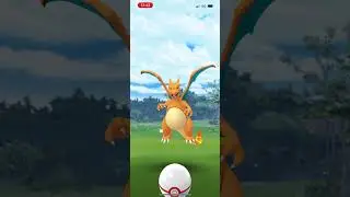 Charizard Raid