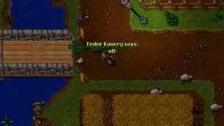 Tibia - Chicken bez pacca