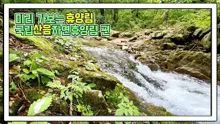 미리 가보는 휴양림 : 국립산음자연휴양림 편