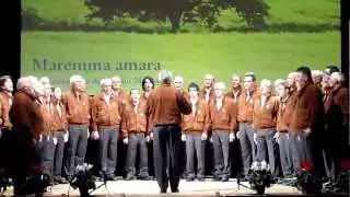 Maremma amara eseguita dal Coro Minimo Bellunese