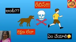 About Rabies virus, disease symptoms,pre-exposure prophylaxis post prophylaxis in Telugu