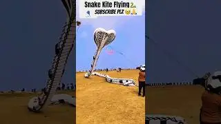 Snake kite Flying 🐍🪁 || New Kite Design 🐍👿 || Kite Flying ☺️🪁 #kiteflying #snake #shortsfeed