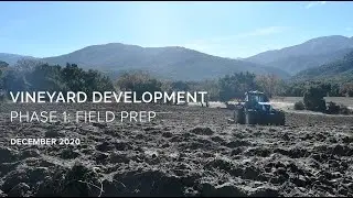 Vineyard Development Phase 1: Field Prep