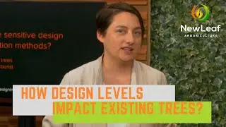 Design Levels - Important Info for Architects - Arborist Explains- Part 2 Designing & Trees