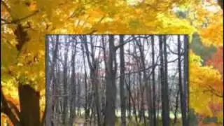 $105,000 Land Property, Long Pond, PA