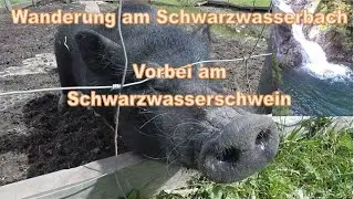 Wanderung am Schwarzwasserbach von der Ifen-Bahn nach Riezlern. Kleinwalsertal
