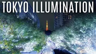 Tokyo's Most Stunning Winter Lights: Roppongi Illumination 2024